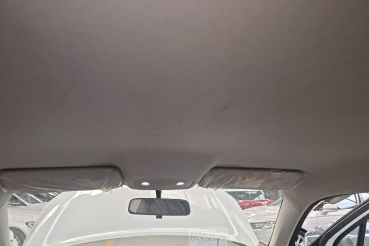 Used Leapmotor T03 2024 310 Comfort Edition Headliner