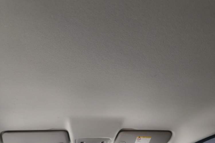 Used Leapmotor T03 2024 200 Lite Edition Headliner