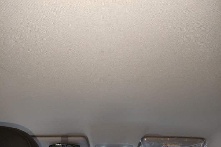 Used Leapmotor T03 2024 403 Comfort Edition Headliner