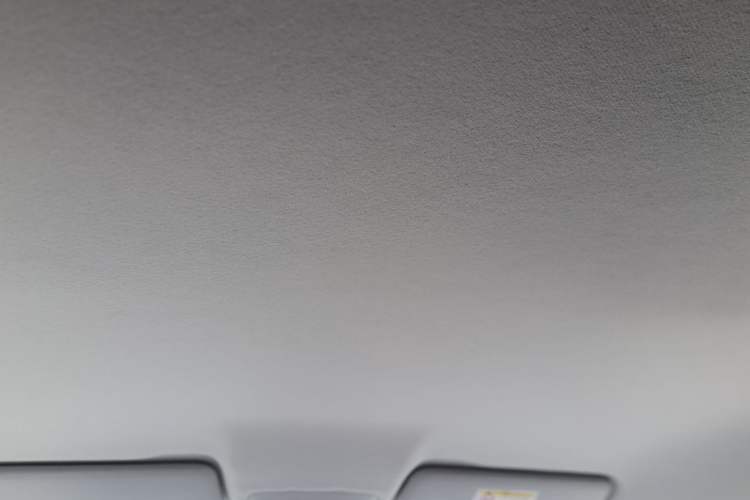 Used Leapmotor T03 2024 200 Lite Edition Headliner