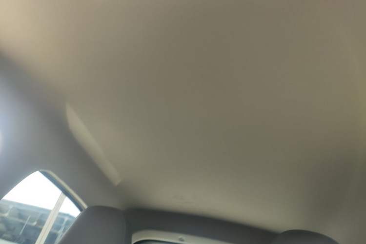 Used Leapmotor T03 2024 310 Comfort Edition Headliner