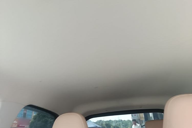 Used Leapmotor T03 2024 200 Lite Edition Headliner