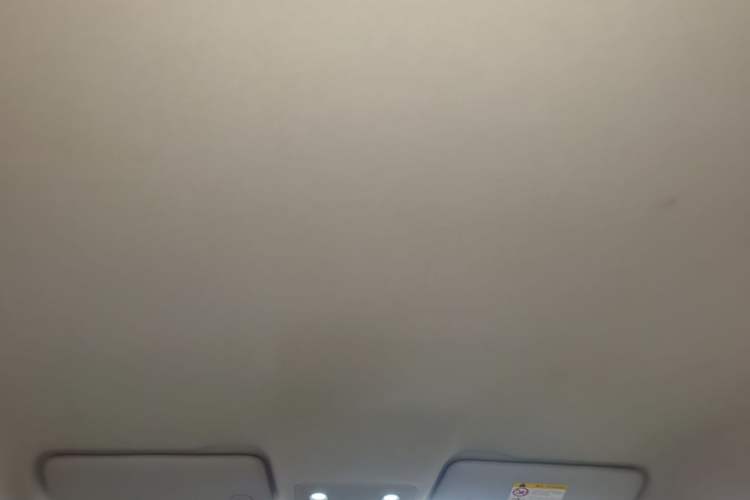 Used Leapmotor T03 2024 310 Comfort Edition Headliner