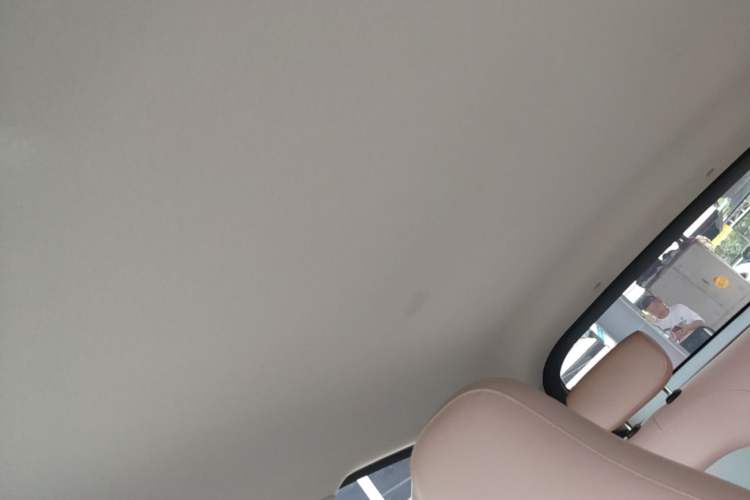 Used Leapmotor T03 2024 310 Comfort Edition Headliner