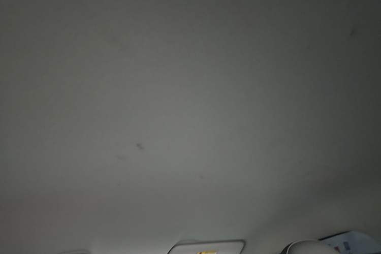 Used Leapmotor T03 2024 200 Lite Edition Headliner