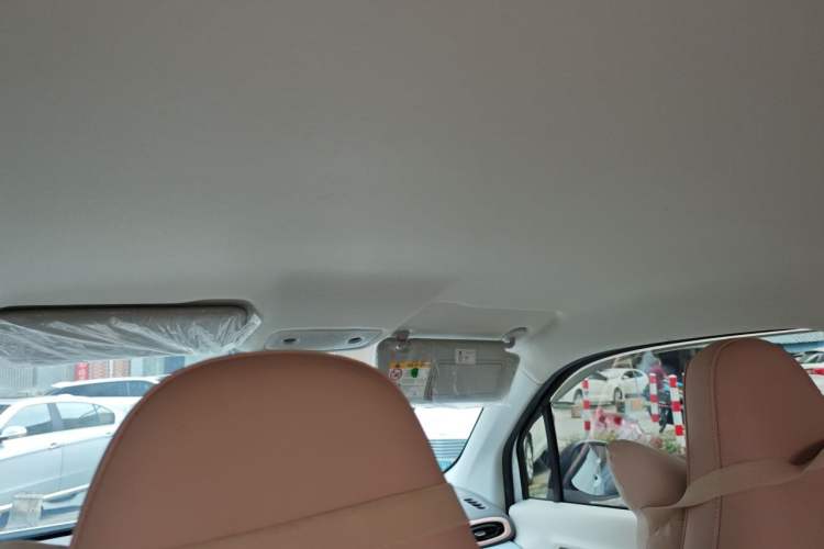 Used Leapmotor T03 2024 310 Comfort Edition Headliner