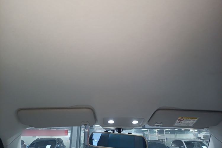 Used Leapmotor T03 2024 310 Comfort Edition Headliner