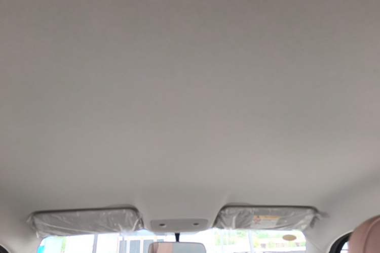 Used Leapmotor T03 2024 310 Comfort Edition Headliner