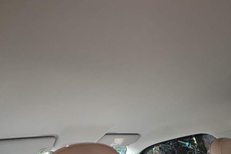 Used Leapmotor T03 2024 310 Comfort Edition Headliner