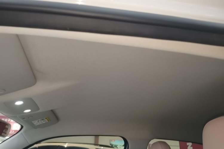 Used Leapmotor T03 2024 200 Lite Edition Headliner