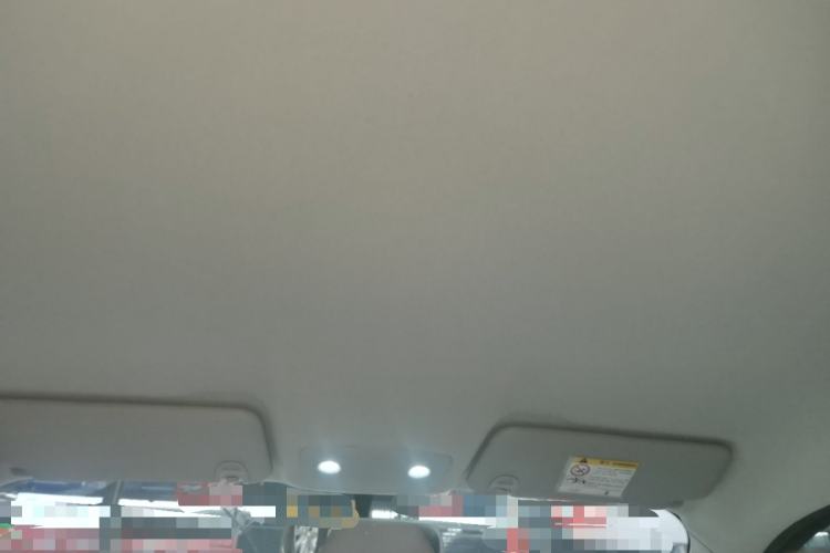 Used Leapmotor T03 2024 200 Lite Edition Headliner