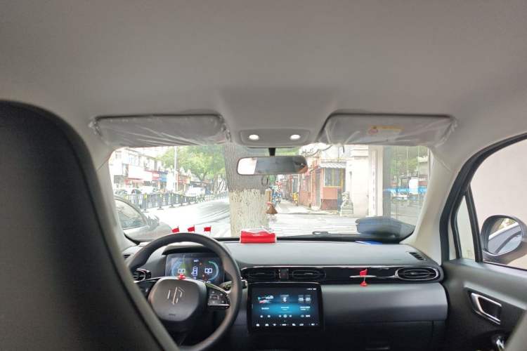 Used Leapmotor T03 2024 200 Lite Edition Headliner