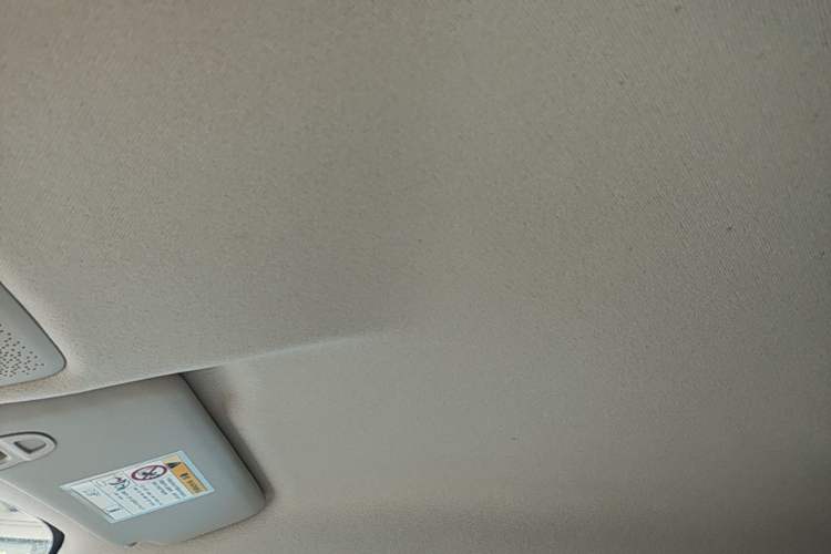 Used Leapmotor T03 2024 403 Comfort Edition Headliner