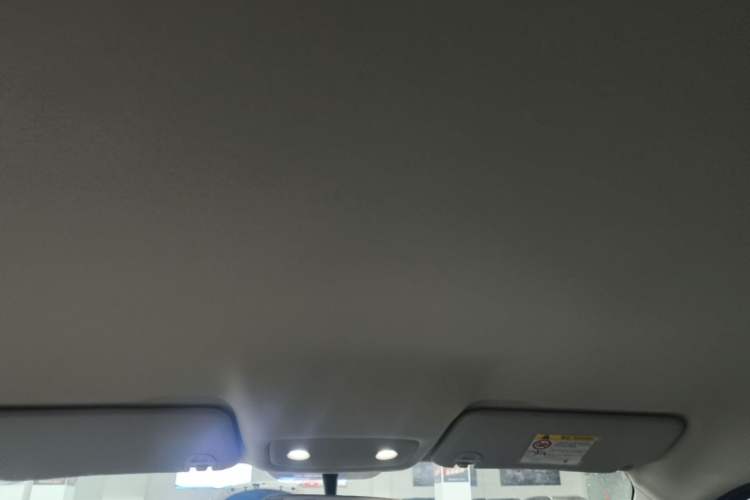Used Leapmotor T03 2024 403 Comfort Edition Headliner