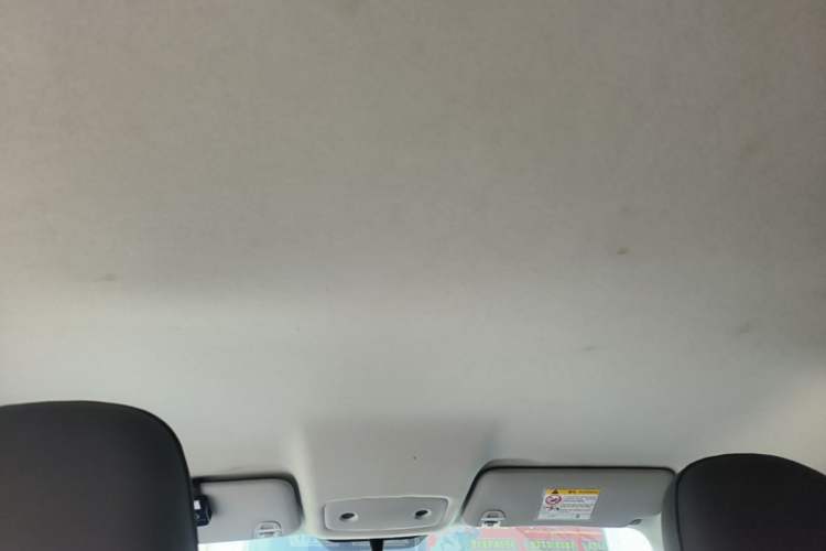 Used Leapmotor T03 2024 310 Comfort Edition Headliner