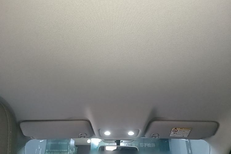 Used Leapmotor T03 2024 403 Comfort Edition Headliner