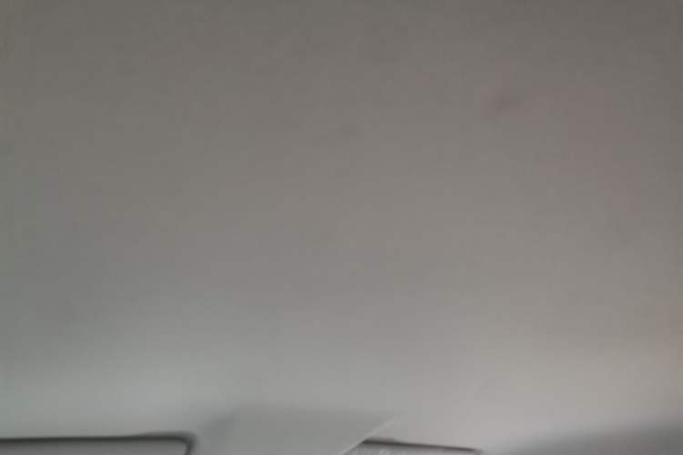 Used Leapmotor T03 2024 310 Comfort Edition Headliner