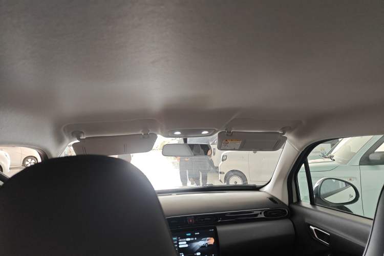 Used Leapmotor T03 2024 403 Comfort Edition Headliner