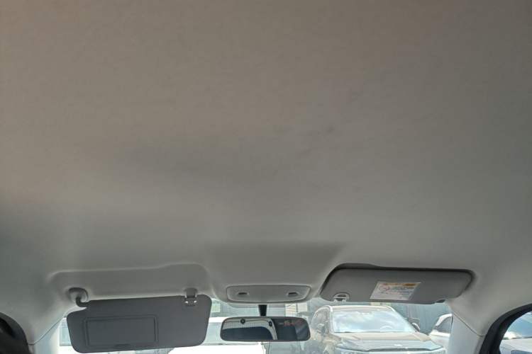 Used Leapmotor T03 2024 310 Comfort Edition Headliner