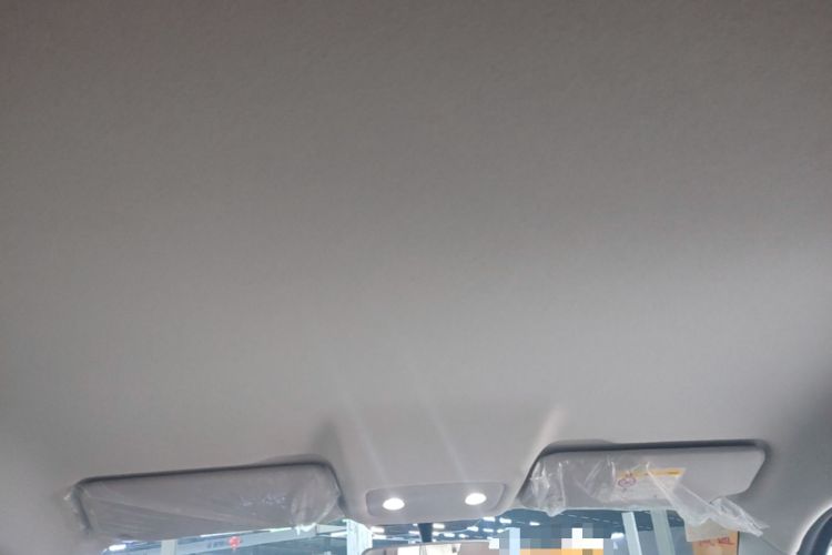 Used Leapmotor T03 2024 200 Lite Edition Headliner
