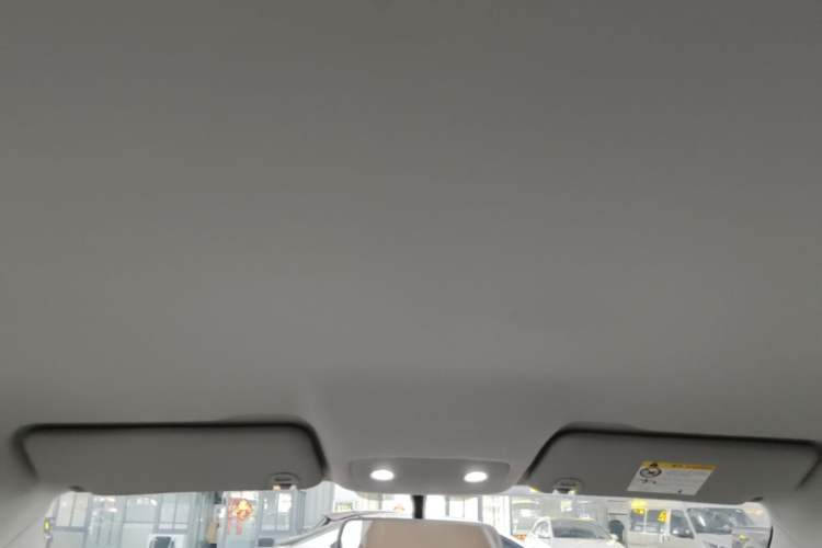 Used Leapmotor T03 2024 403 Comfort Edition Headliner