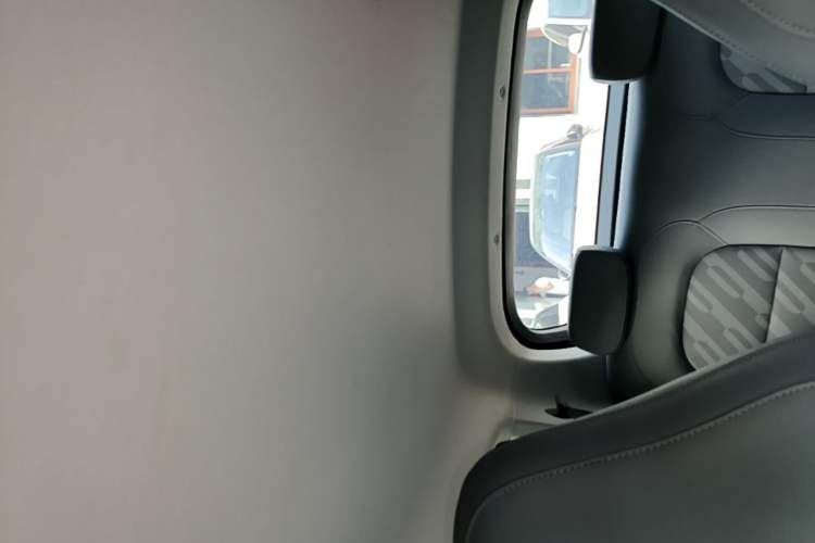 Used Leapmotor T03 2024 403 Comfort Edition Headliner
