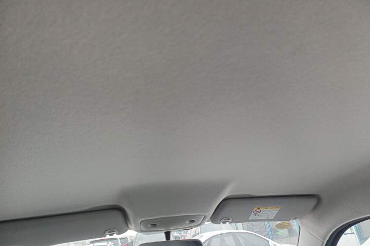 Used Leapmotor T03 2024 403 Comfort Edition Headliner