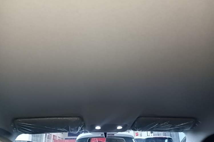 Used Leapmotor T03 2024 310 Comfort Edition Headliner