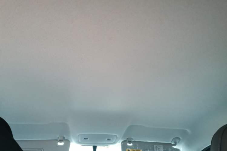Used Leapmotor T03 2024 310 Comfort Edition Headliner