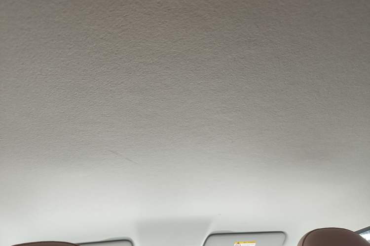 Used Leapmotor T03 2024 310 Comfort Edition Headliner