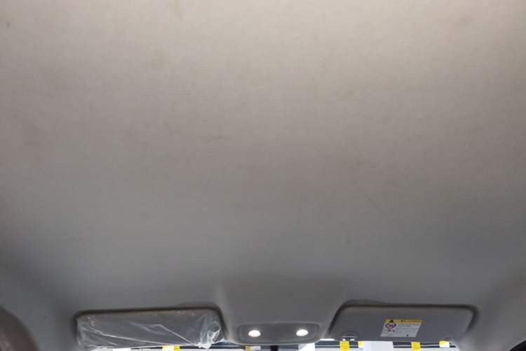 Used Leapmotor T03 2024 310 Comfort Edition Headliner