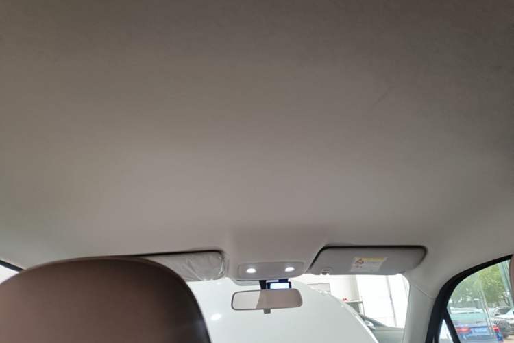 Used Leapmotor T03 2024 310 Comfort Edition Headliner