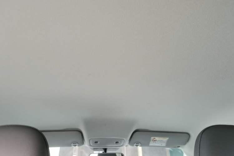Used Leapmotor T03 2024 310 Comfort Edition Headliner