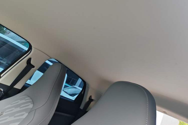 Used Leapmotor T03 2024 200 Lite Edition Headliner
