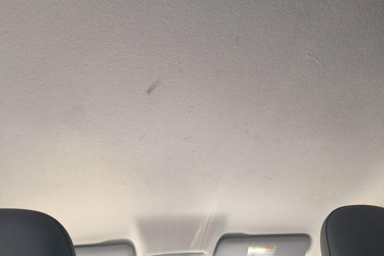 Used Leapmotor T03 2024 200 Lite Edition Headliner