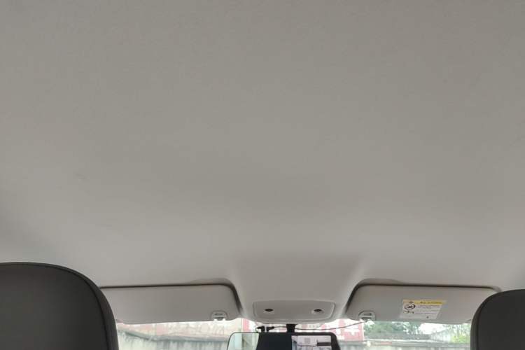 Used Leapmotor T03 2024 403 Comfort Edition Headliner