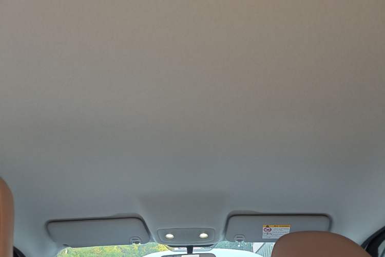 Used Leapmotor T03 2024 403 Comfort Edition Headliner