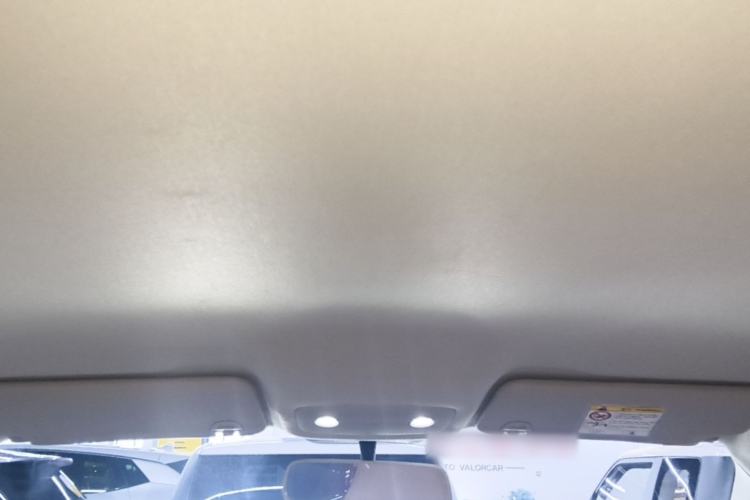 Used Leapmotor T03 2024 310 Comfort Edition Headliner