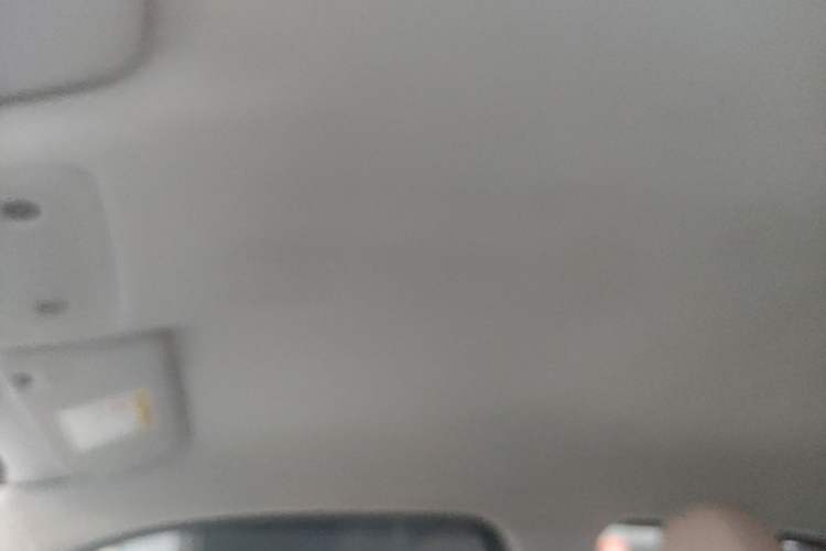 Used Leapmotor T03 2024 310 Comfort Edition Headliner