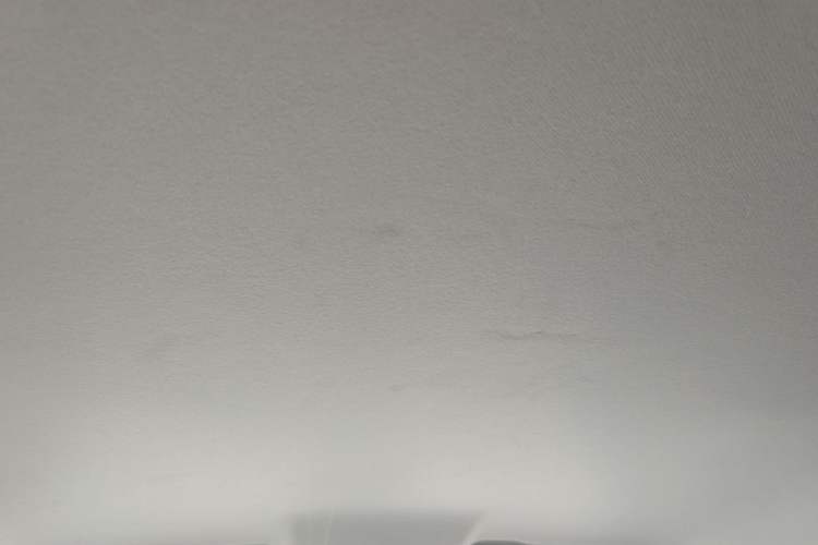 Used Leapmotor T03 2024 310 Comfort Edition Headliner