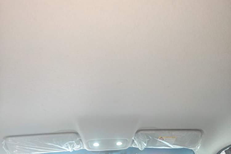 Used Leapmotor T03 2024 200 Lite Edition Headliner