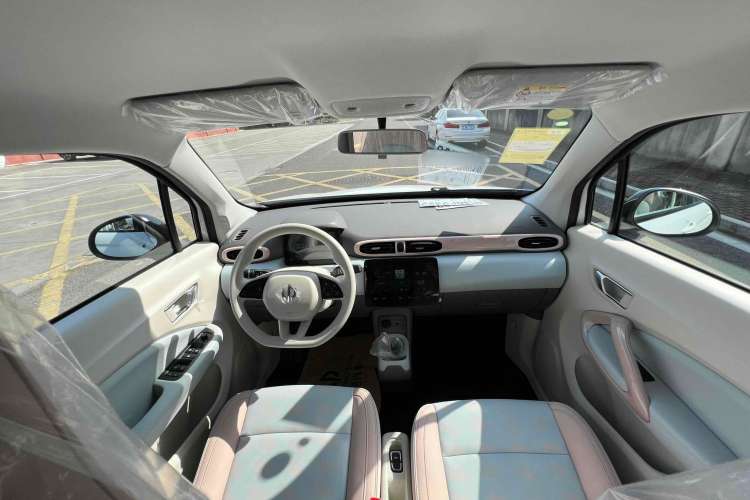 Used Leapmotor T03 2024 310 Comfort Edition Headliner
