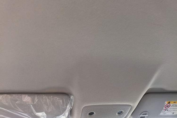 Used Leapmotor T03 2024 403 Comfort Edition Headliner