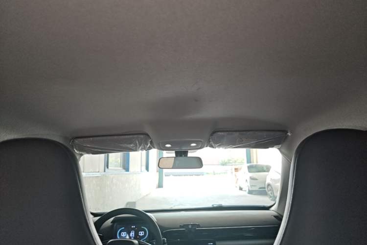 Used Leapmotor T03 2024 200 Lite Edition Headliner