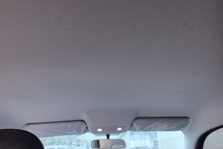 Used Leapmotor T03 2024 200 Lite Edition Headliner