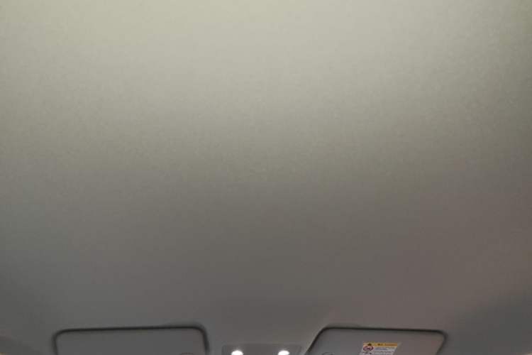 Used Leapmotor T03 2024 310 Comfort Edition Headliner