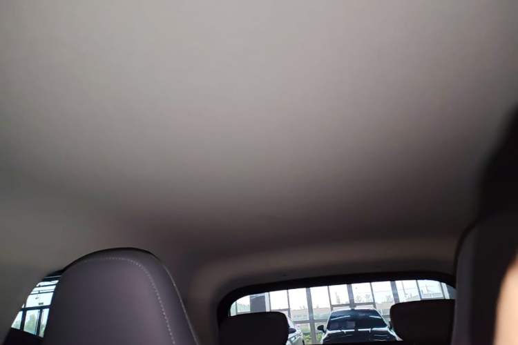 Used Leapmotor T03 2024 310 Comfort Edition Headliner