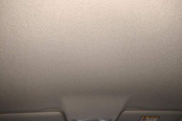 Used Leapmotor T03 2024 310 Comfort Edition Headliner