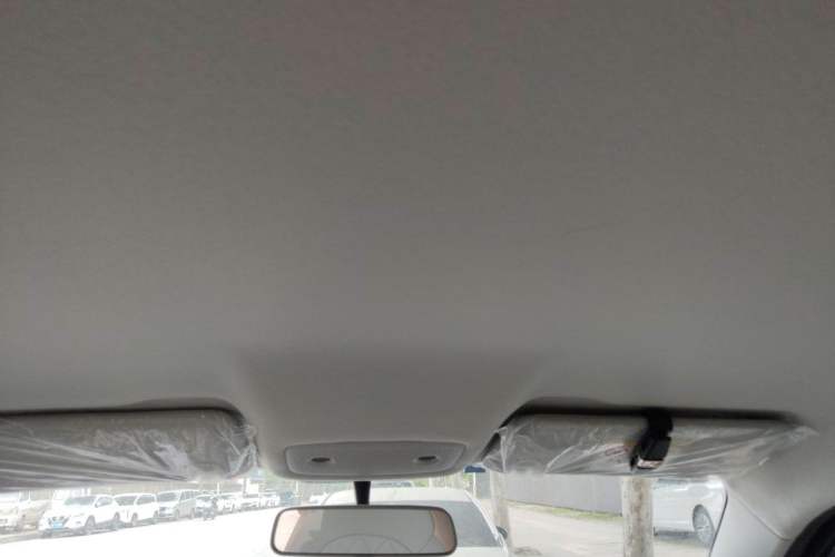 Used Leapmotor T03 2024 310 Comfort Edition Headliner