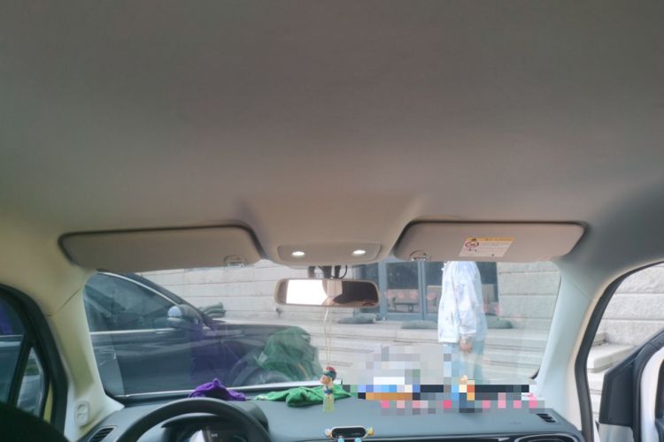 Used Leapmotor T03 2024 200 Lite Edition Headliner